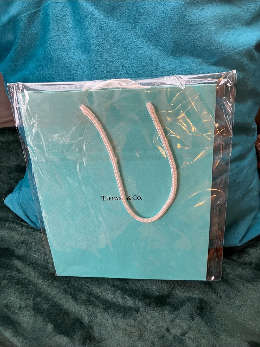 Tiffany & Co. Rope-Handle Gift Tote in Tiffany Blue